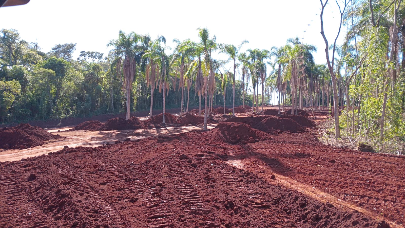 Terraplanagem - foto 16